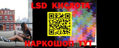 прущие грибы Бузулук