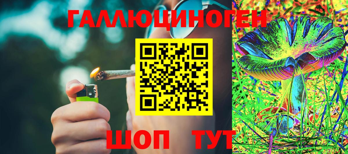 Галлюциногенные грибы Psilocybine cubensis  Вход с VPN  Ханты-Мансийск 