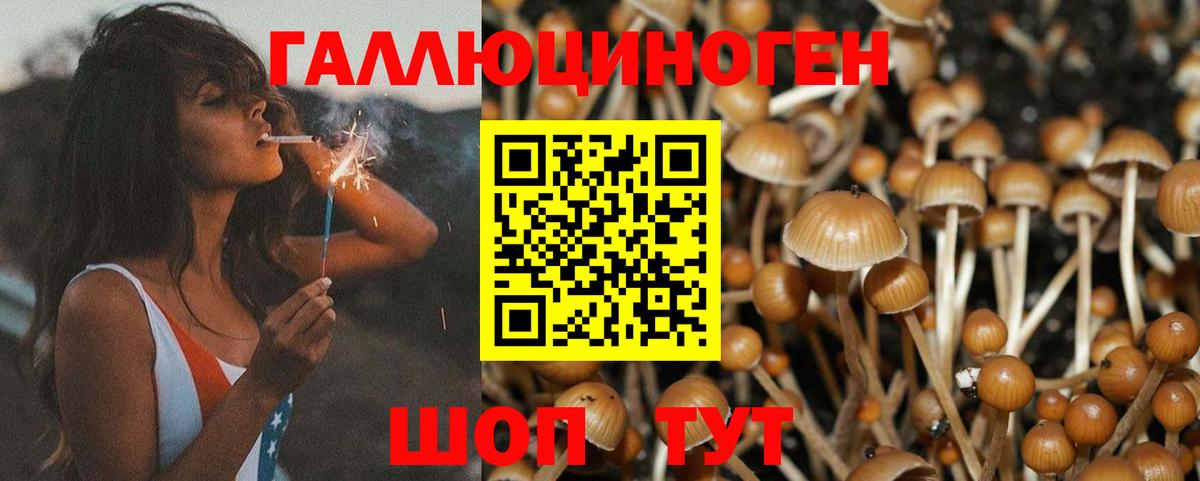 Галлюциногенные грибы MAGIC MUSHROOMS Ханты-Мансийск